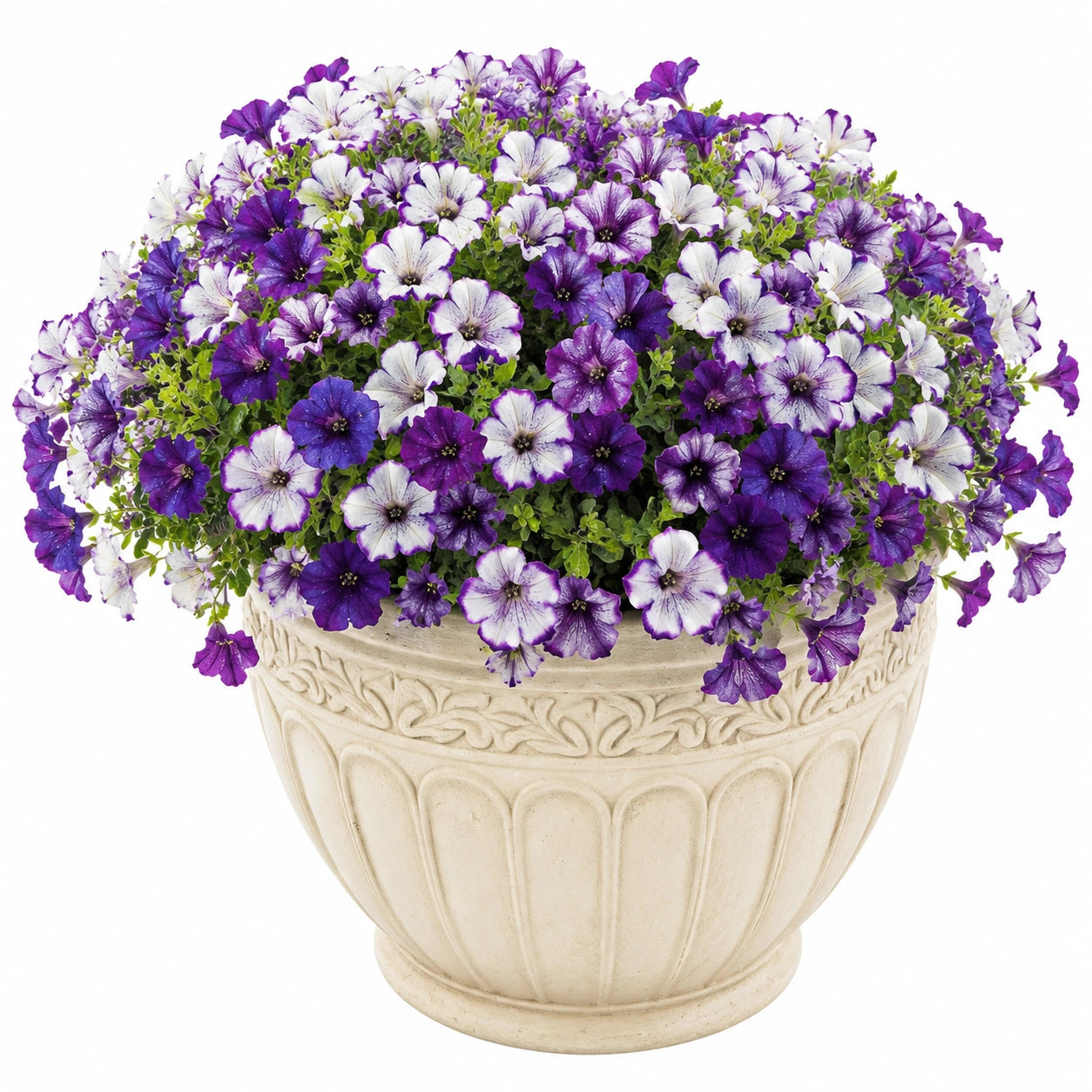 Planta Artificial en Maceta Grande con Flores P¨²rpuras y Blancas