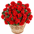 Planta Artificial de Geranio Rojo en Maceta de Cer¨¢mica Decorativa