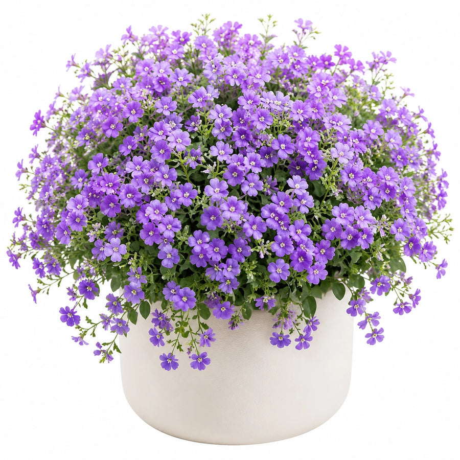 Planta Artificial Decorativa con Flores Moradas en Maceta Blanca