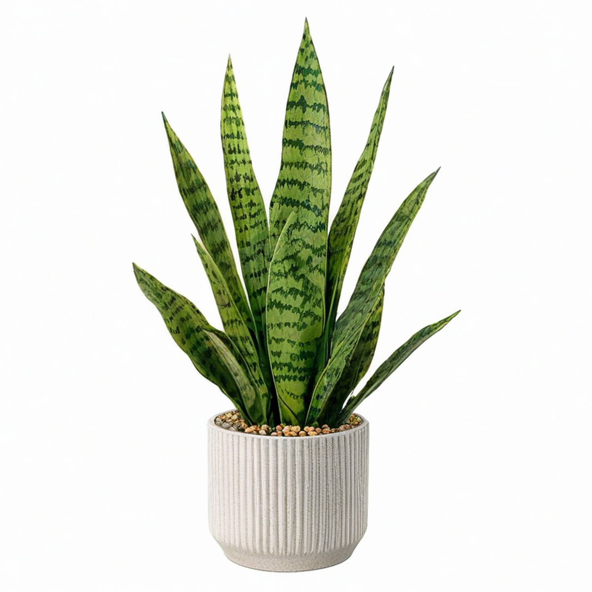 Planta Artificial Sansevieria Verde en Maceta de Cerámica 60 cm