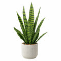 Planta Artificial Sansevieria Verde en Maceta de Cer¨¢mica 60 cm