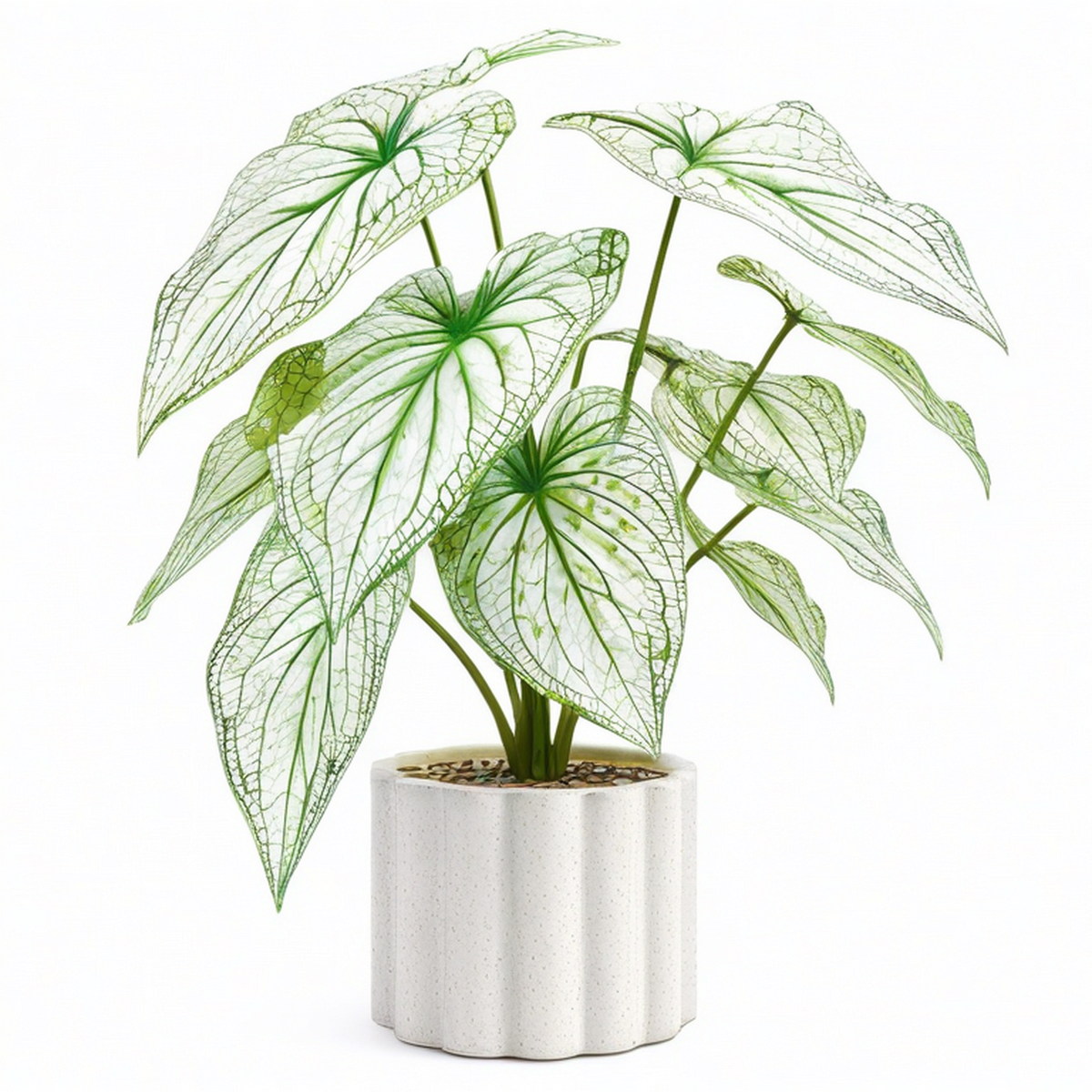 Planta Artificial de Interior en Maceta Blanca, Verde y Blanco, 45cm