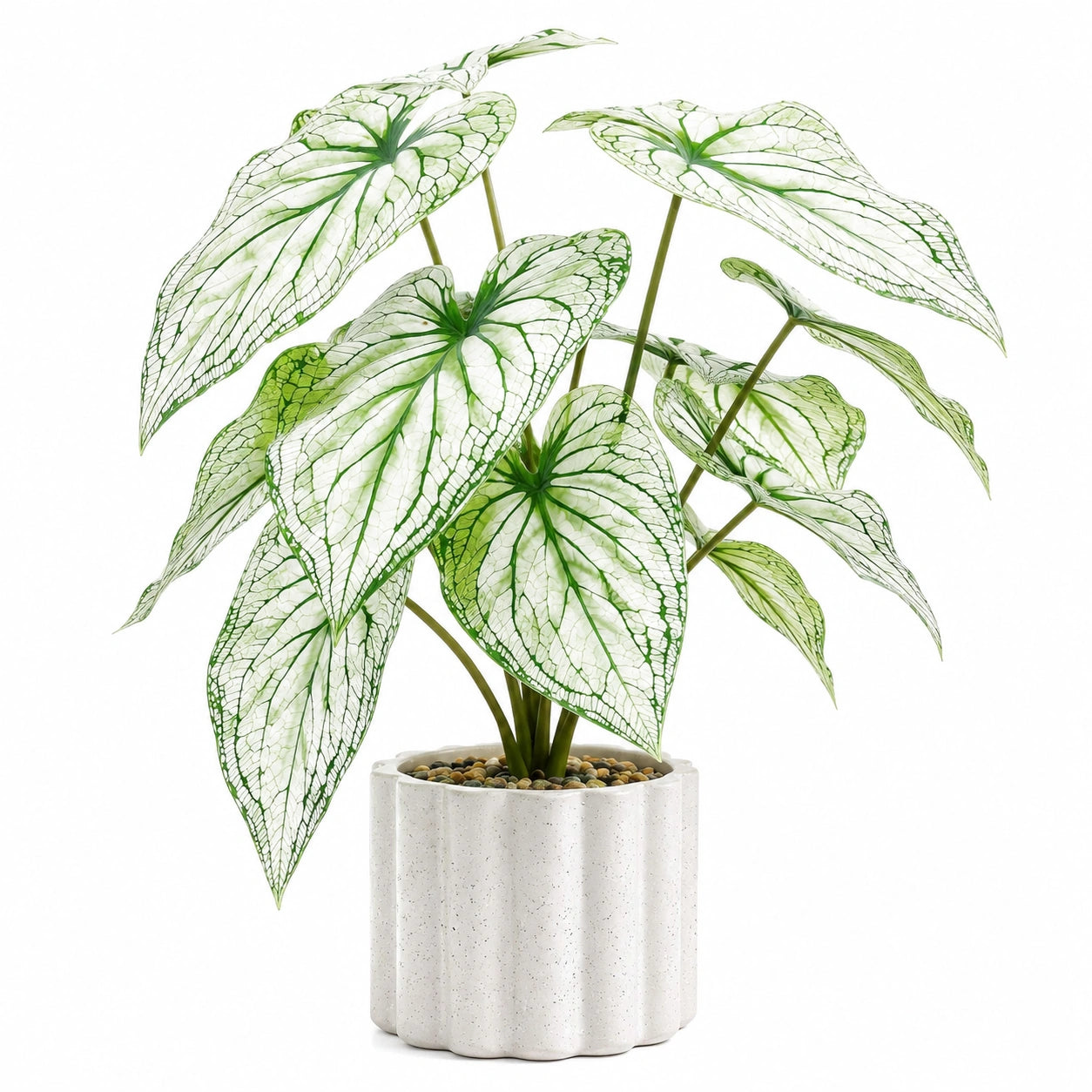 Planta Artificial de Interior en Maceta Blanca, Verde y Blanco, 45cm