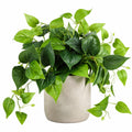 Planta Artificial Verde para Interior con Maceta