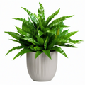 Helecho Artificial de 70 cm Verde con Maceta Beige