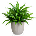 Helecho Artificial de 70 cm Verde con Maceta Beige