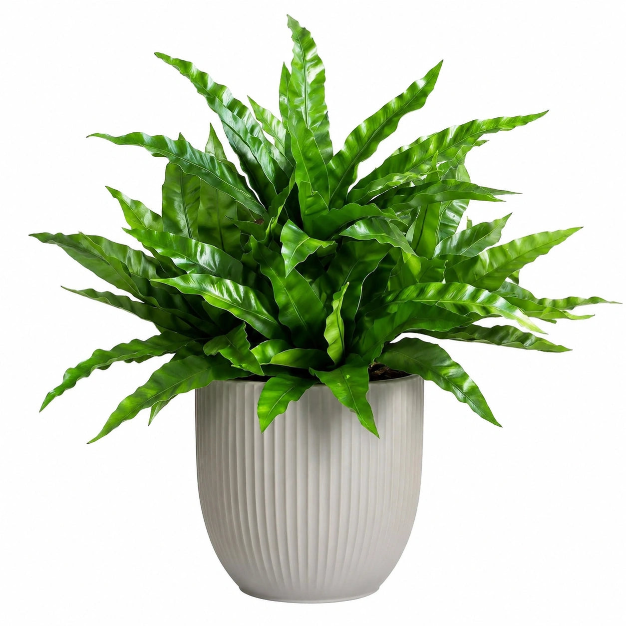 Helecho Artificial de 70 cm Verde con Maceta Beige