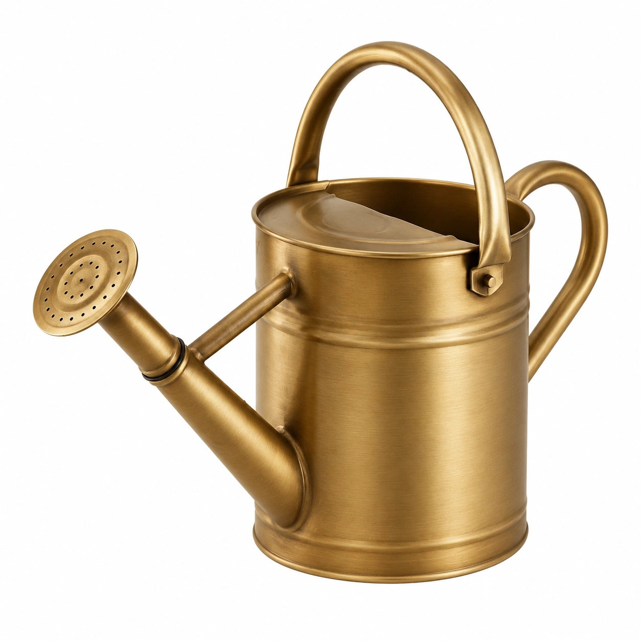 Regadera de Metal 5L Color Dorado Mate para Jard¨ªn